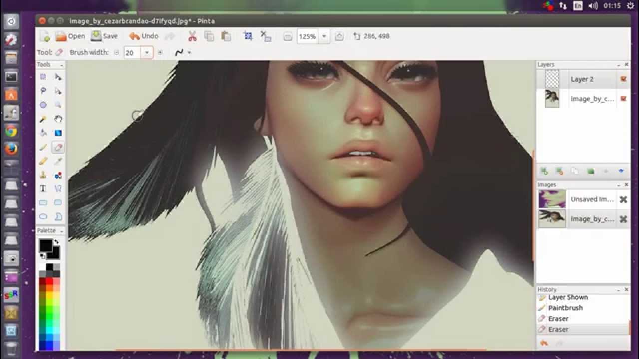 Pinta 1.5 drawing editing program