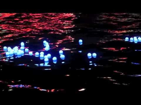 Tokyo Hotaru 2012