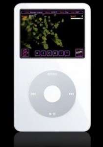 musika ipod 270x386 small