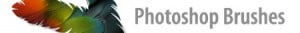 photoshopBrushes