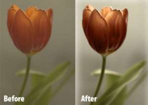 photoshop plugin phototools page topper