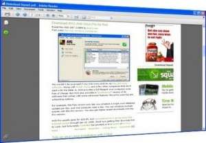 adobe 2dreader 2dlite small