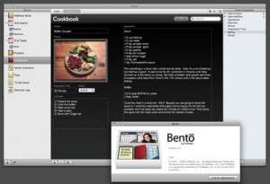 bento 010808 small