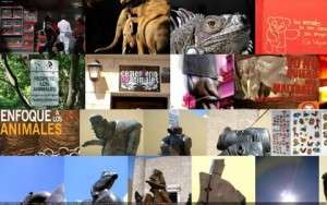 collage small