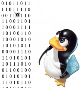 kernel
