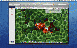 mac to mac
