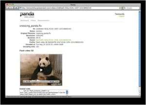 pandavideo small