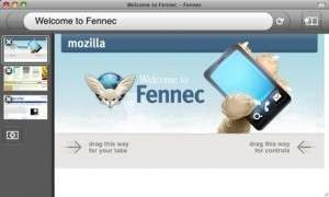 fennec small