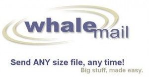 whalemail small