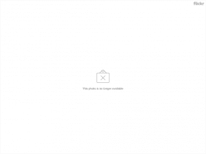 3858481185 7811412f3f b