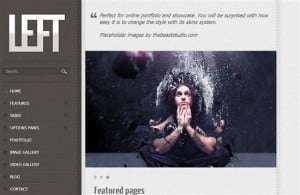 left-porfolio-wordpress-theme