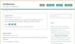 uridimmu-wordpress-theme-desarrollador