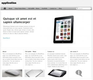 application-wordpress-theme