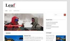 leaf-theme-gratis-responsive-wordpress