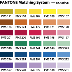 Un color Pantone hecho para todos; lo nuevo en Kickstarter