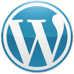 Cómo conseguir mejorar la velocidad de carga en un blog con WordPress