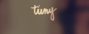 tiny blogs 1