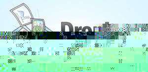 dropbox photos 1