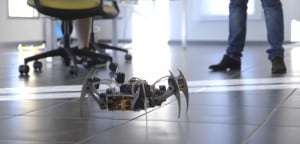 2015 09 ErleSpider 3
