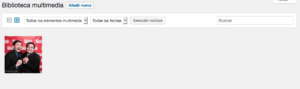 manual de wordpress para principiantes 3