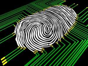 seguridad biometria