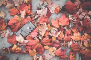rastrear celular