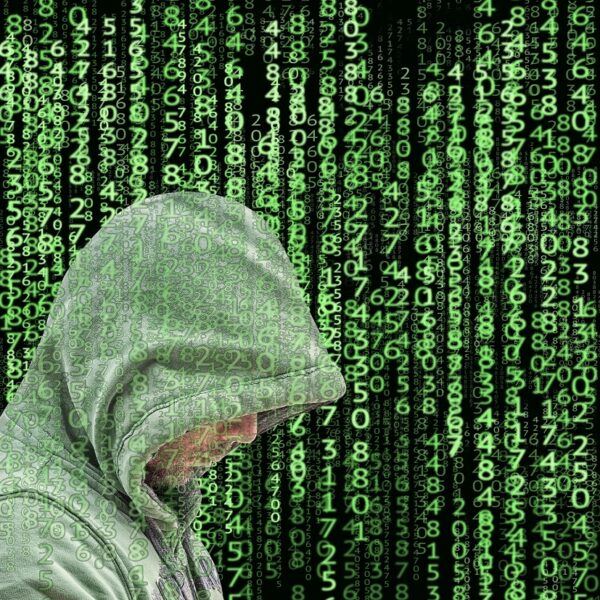 El ransomware se centra en los mayores, mientras que las estafas de TikTok en los jóvenes