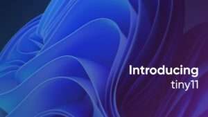 introducing tiny11