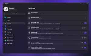 winscript debloat