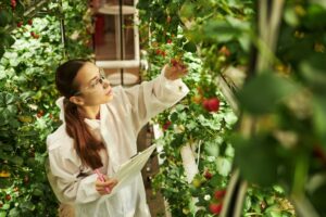 Eatable Adventures lanza Raíces para cerrar la brecha de inversión en startups hispanohablantes